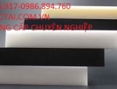 NHỰA POM TẤM 60MM